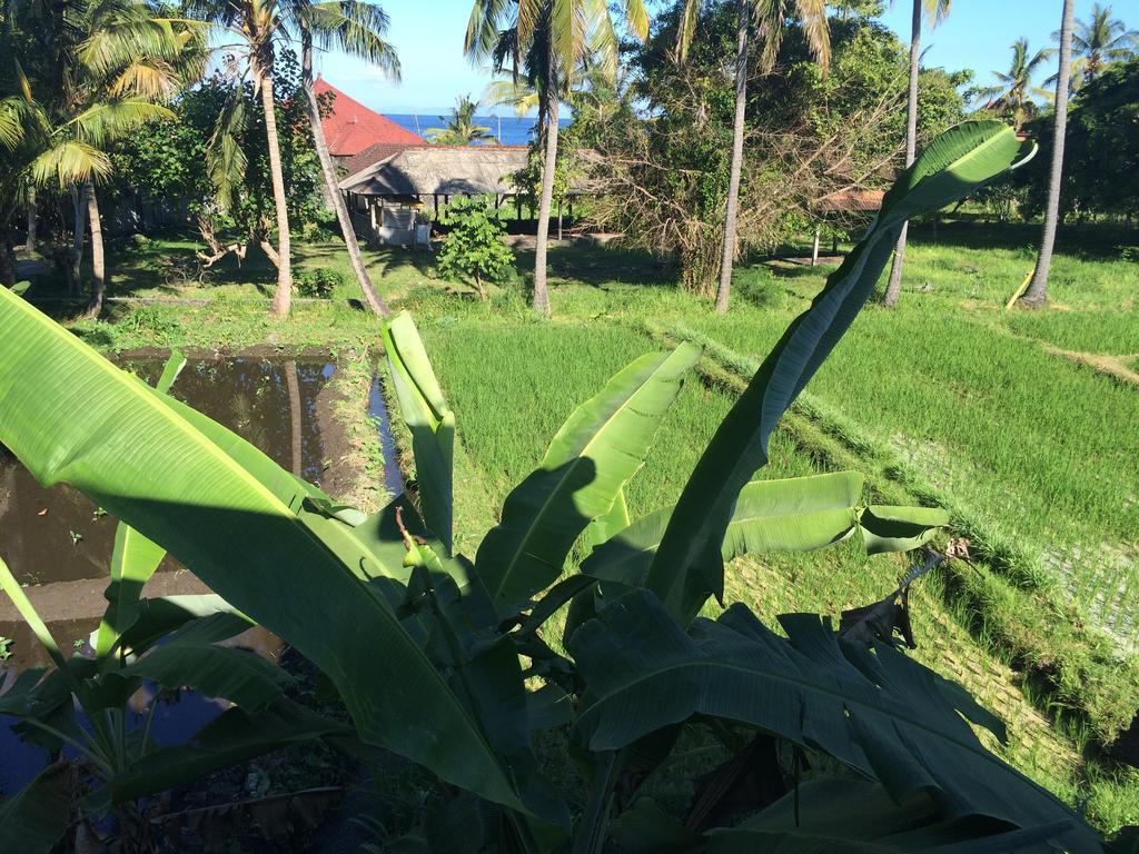 Kangkung Cottages Jasri ภายนอก รูปภาพ