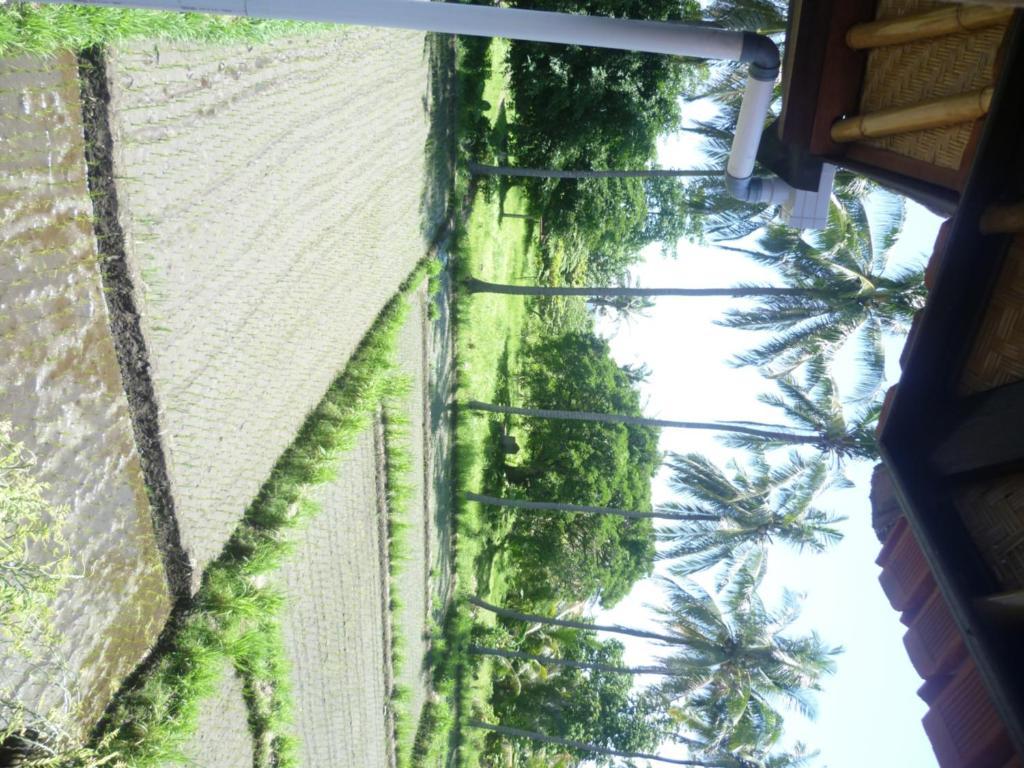 Kangkung Cottages Jasri ภายนอก รูปภาพ